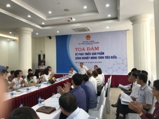 td19hhimage001.jpg